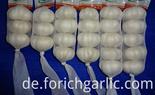 2019 Fresh New Crop Pure White Garlic